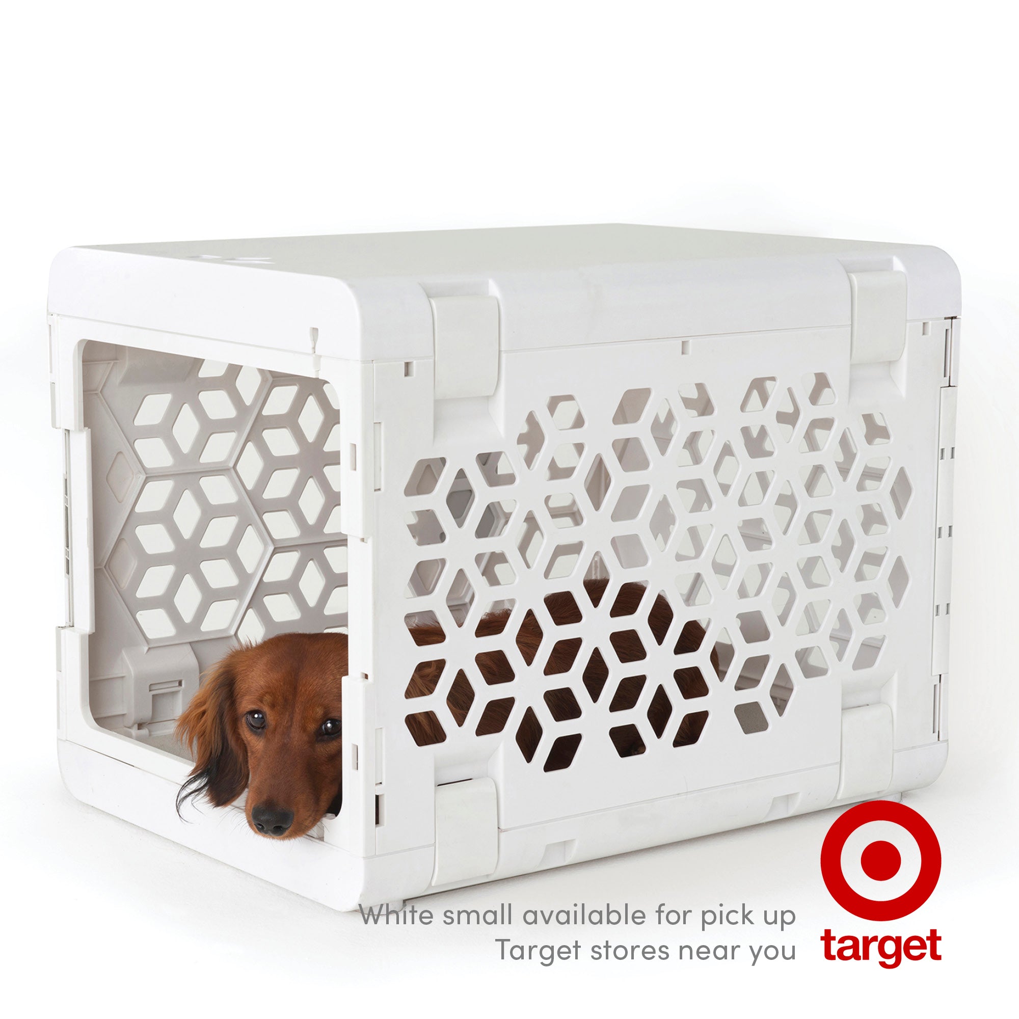 PAWD®  Modern Collapsible Dog Crate - Corevias