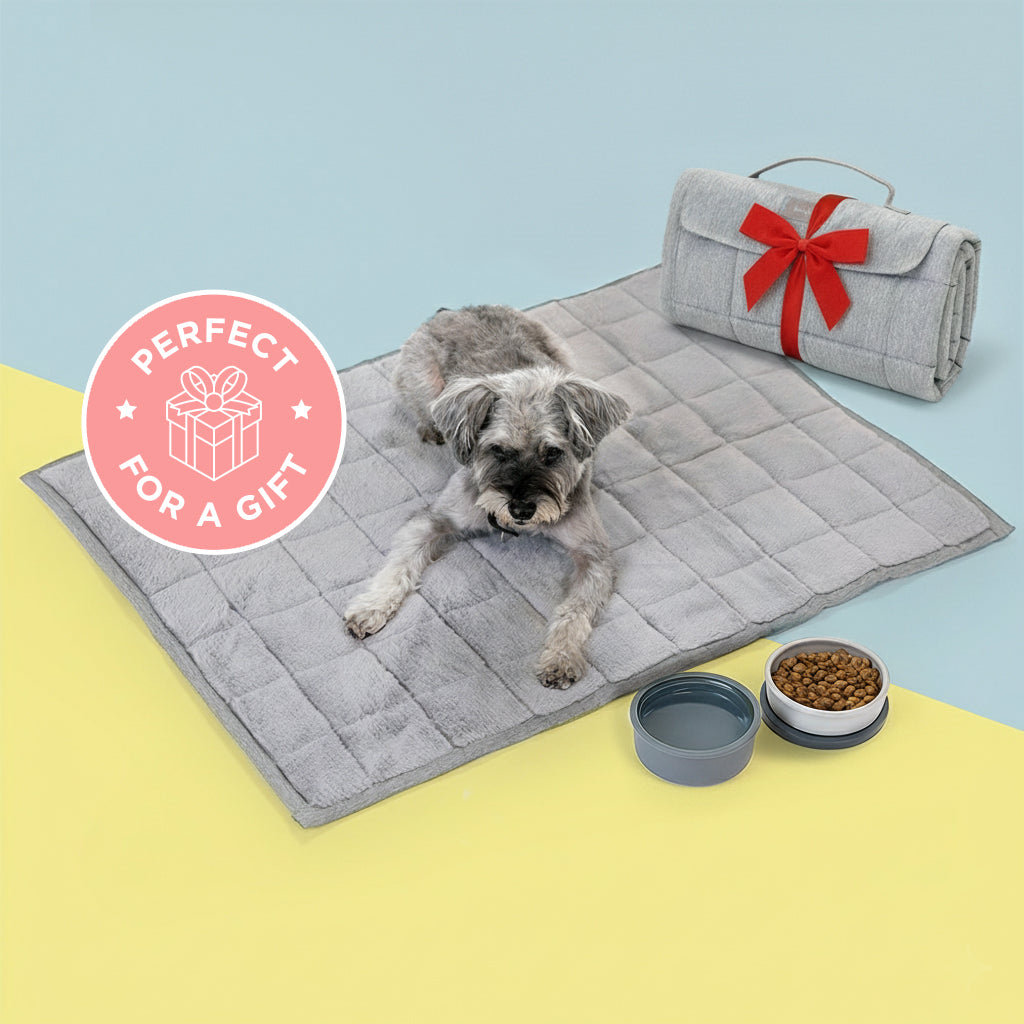 Cozy Companion Bundle - Travel Bed and Bowl - Corevias
