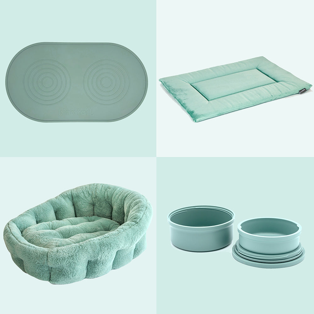 Accessory Bundle - Corevias