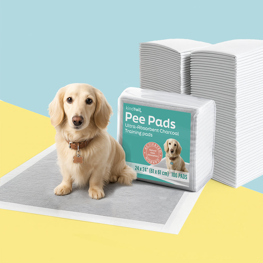 Odor-Filtering Charcoal Pee Pads - Corevias