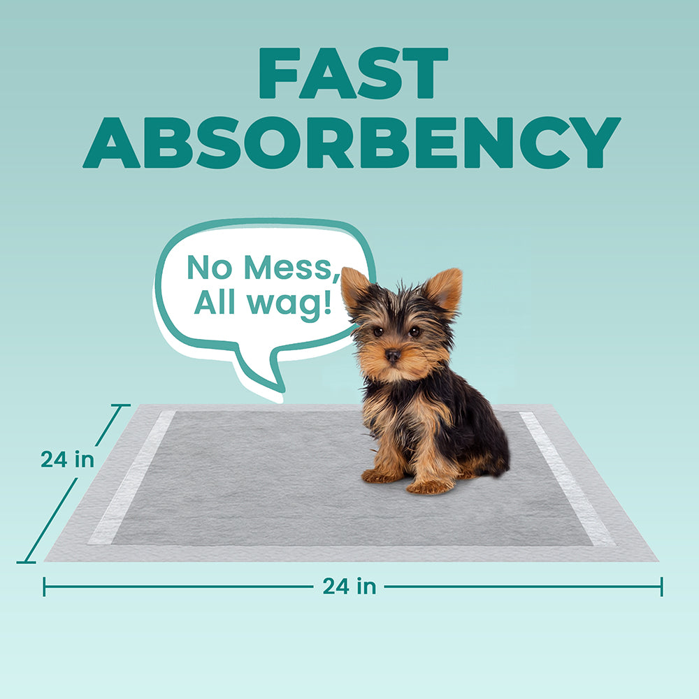 Odor-Filtering Charcoal Pee Pads - Corevias