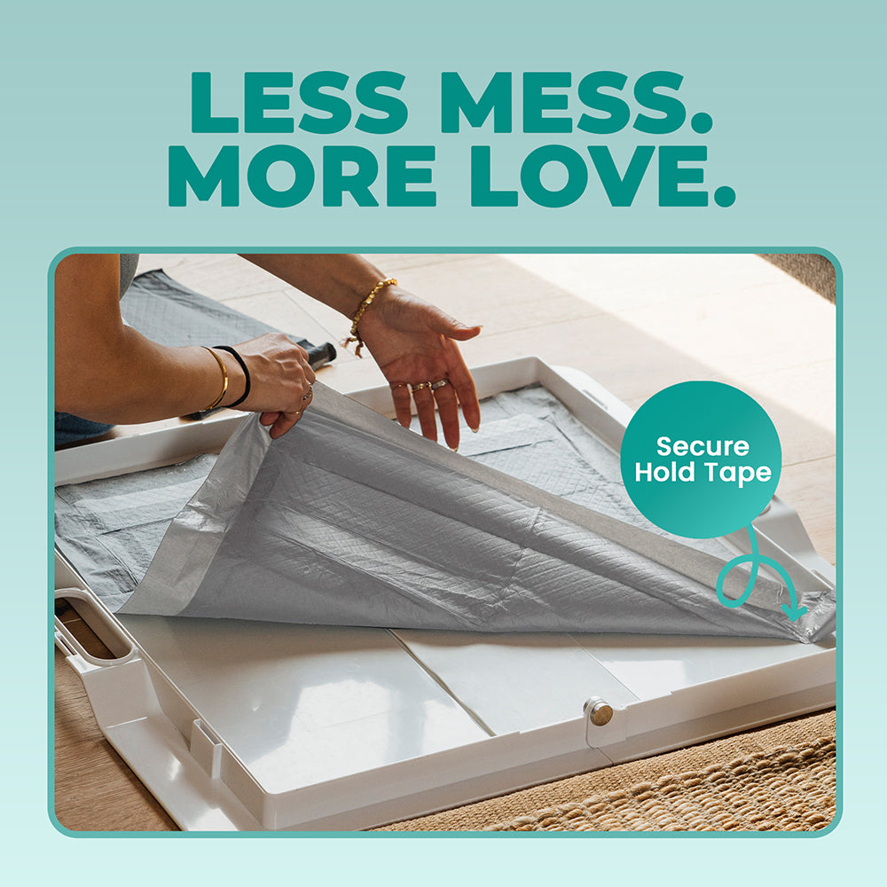 Odor-Filtering Charcoal Pee Pads - Corevias