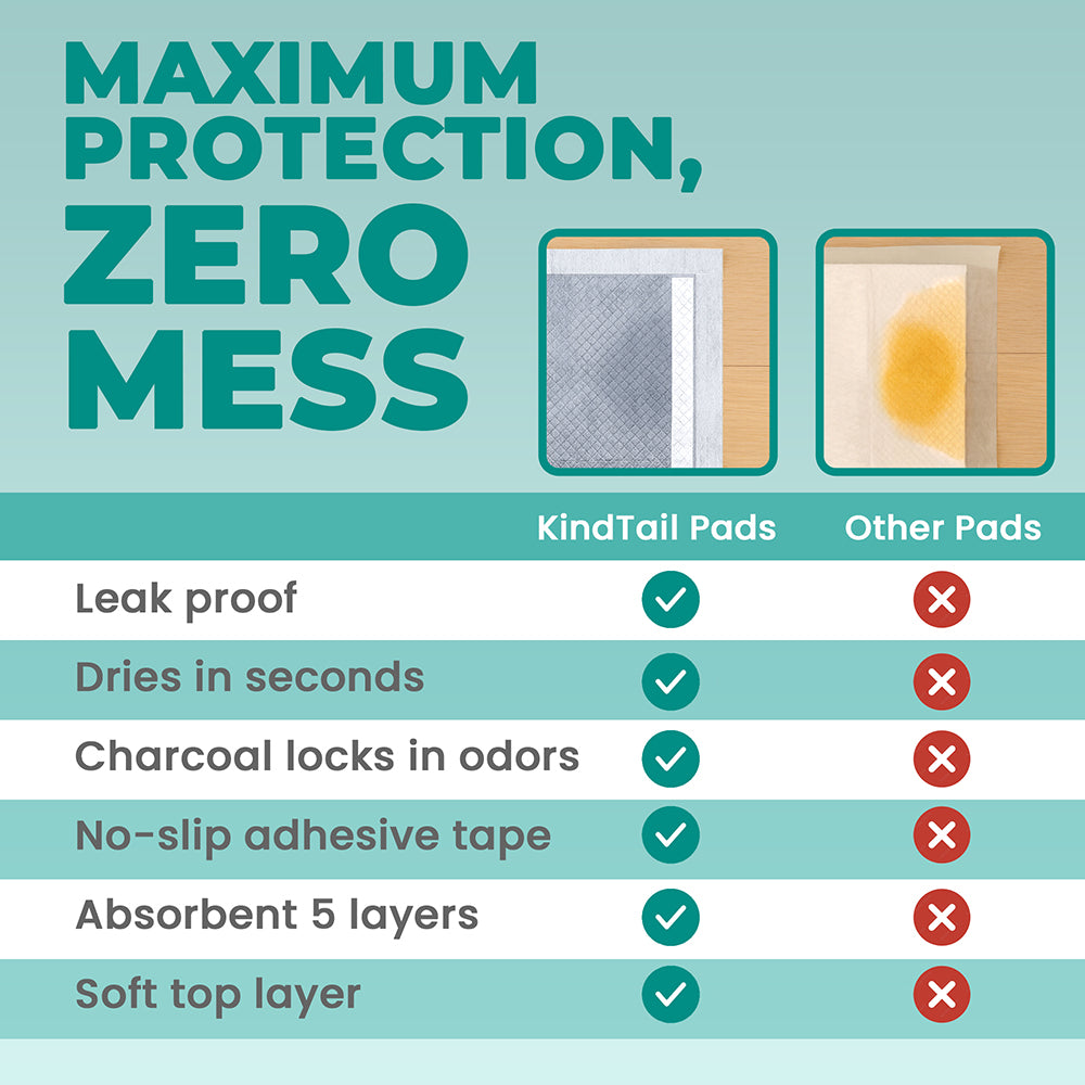 Potty Training Bundle - Corevias