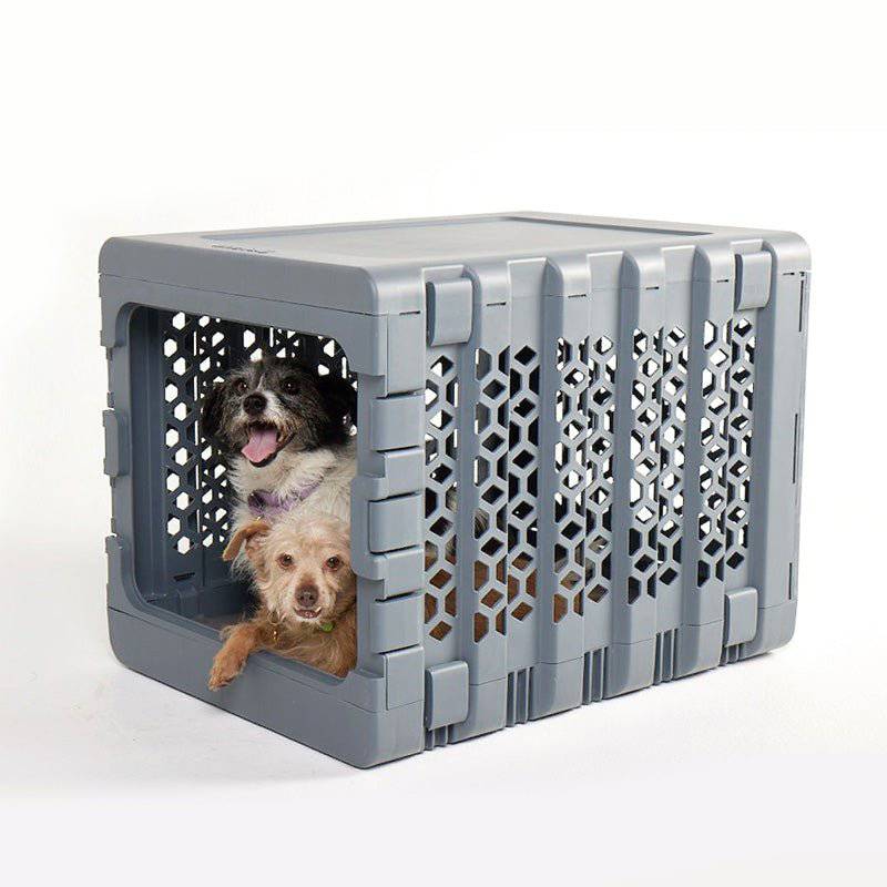 Corevias PAWD® | Modern Collapsible Plastic Dog & Pet Crate in dark medium grey with two dogs inside