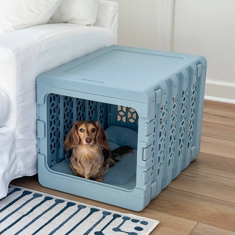Corevias PAWD® | Modern Collapsible Plastic Dog & Pet Crate in medium blue with brown dog inside