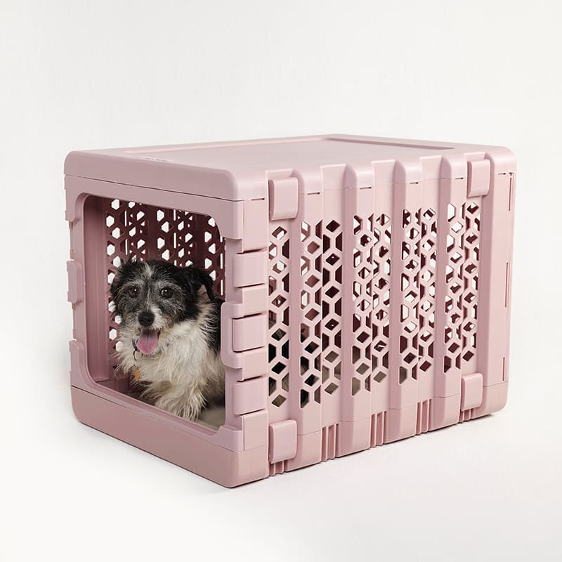 Corevias PAWD® | Modern Collapsible Plastic Dog & Pet Crate in medium pink with one black and white dog inside