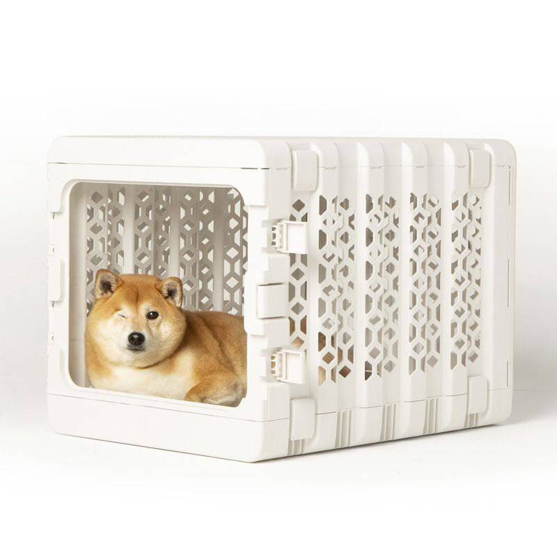 Corevias PAWD® | Modern Collapsible Plastic Dog & Pet Crate in medium white with brown dog inside 2
