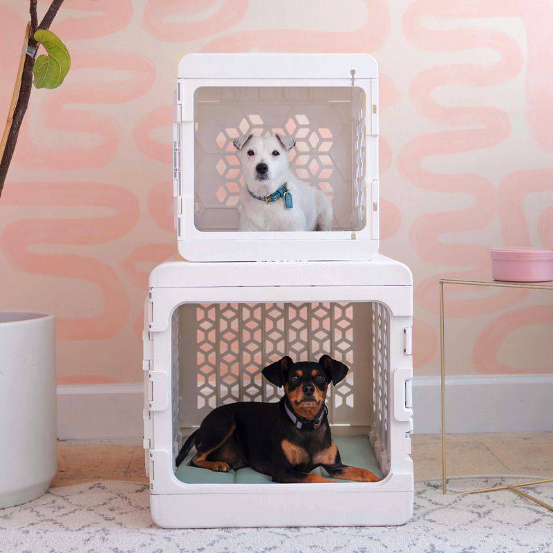 Corevias PAWD® | Modern Collapsible Plastic Dog Crate in small and medium in white stacked with black and white dog inside