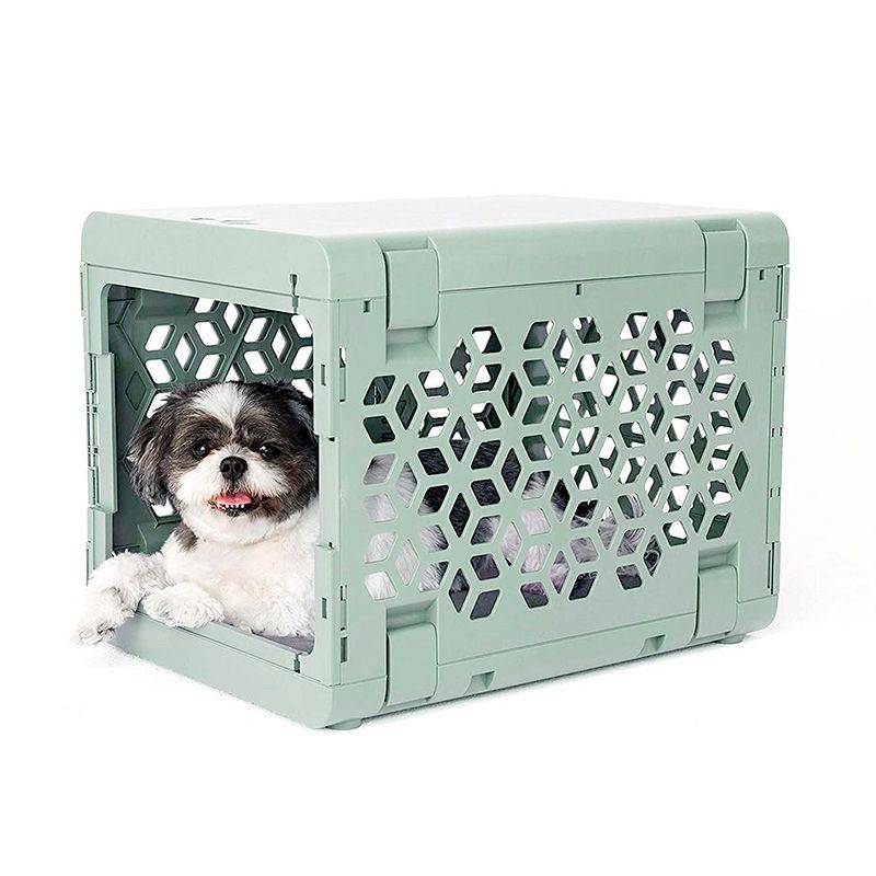 Corevias PAWD® | Modern Collapsible Plastic Dog & Pet Crate in small green with one black and white dog inside