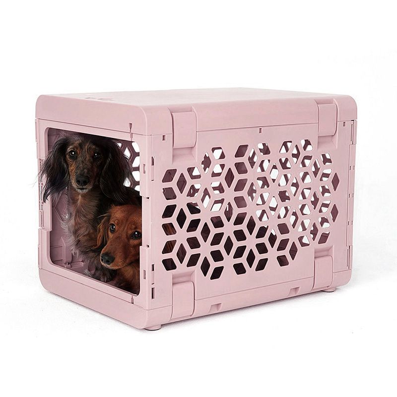 Corevias PAWD® | Modern Collapsible Plastic Dog & Pet Crate in small pink with two brown dogs inside