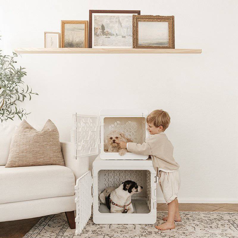 Corevias PAWD® | Modern Collapsible Plastic Dog & Pet Crate in small white and medium stacked with dog inside and a boy petting the dog