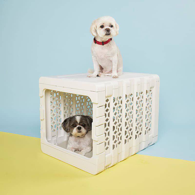 Corevias PAWD® | Modern Collapsible Plastic Dog Crate and Pet Crate in white with two dogs, one is inside the other is sitting on top of the crate