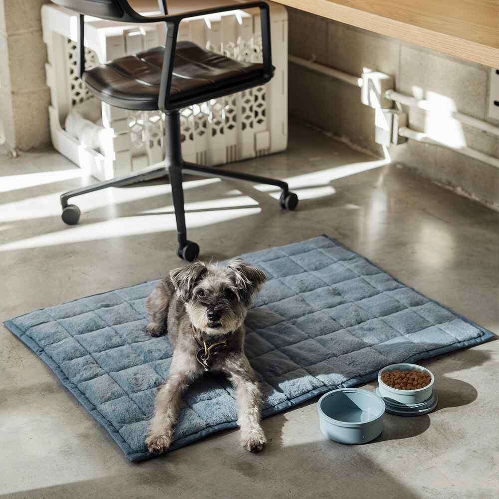 NomadNap - Travel & Portable Dog Bed - Corevias
