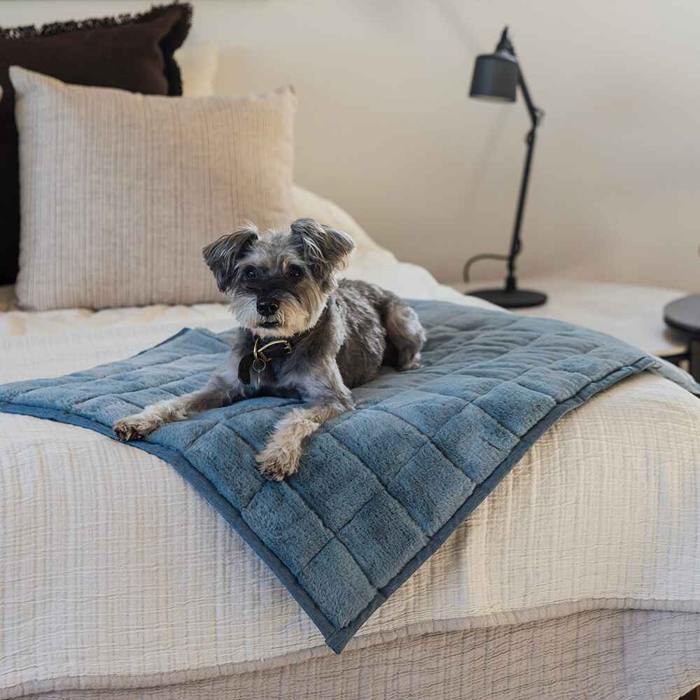 NomadNap - Travel & Portable Dog Bed - Corevias