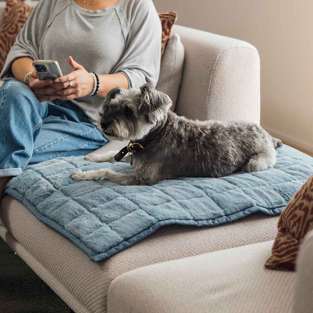 NomadNap - Travel & Portable Dog Bed - Corevias