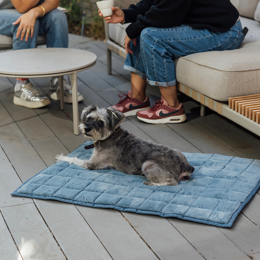 NomadNap - Travel & Portable Dog Bed® - Corevias