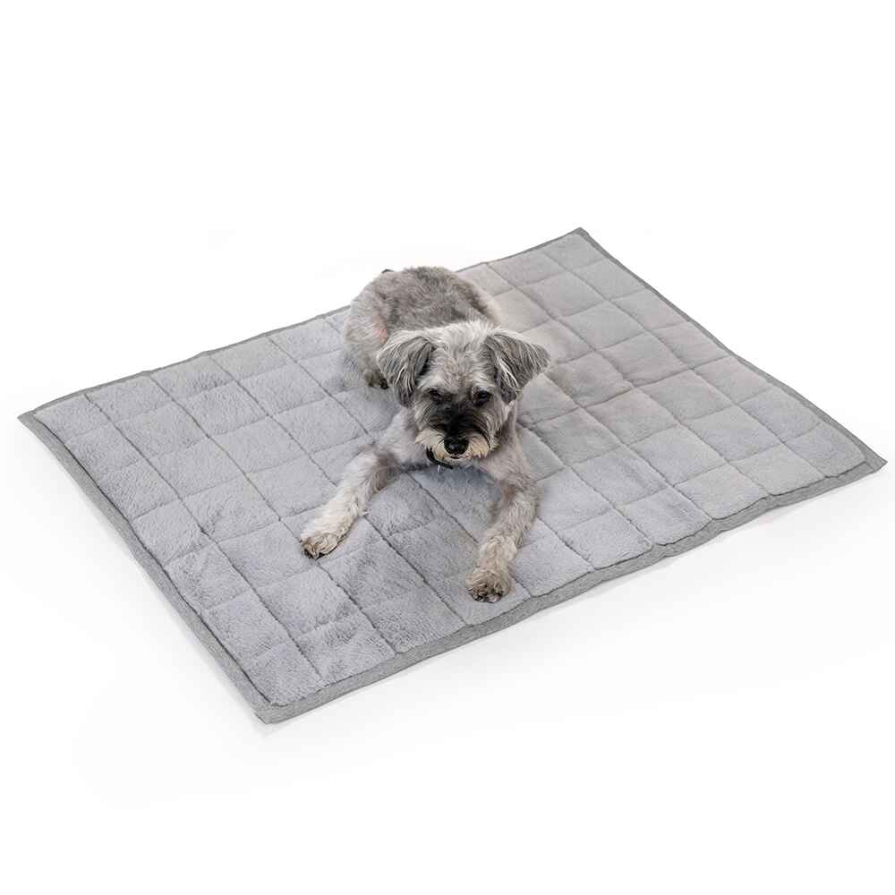 NomadNap - Travel & Portable Dog Bed - Corevias