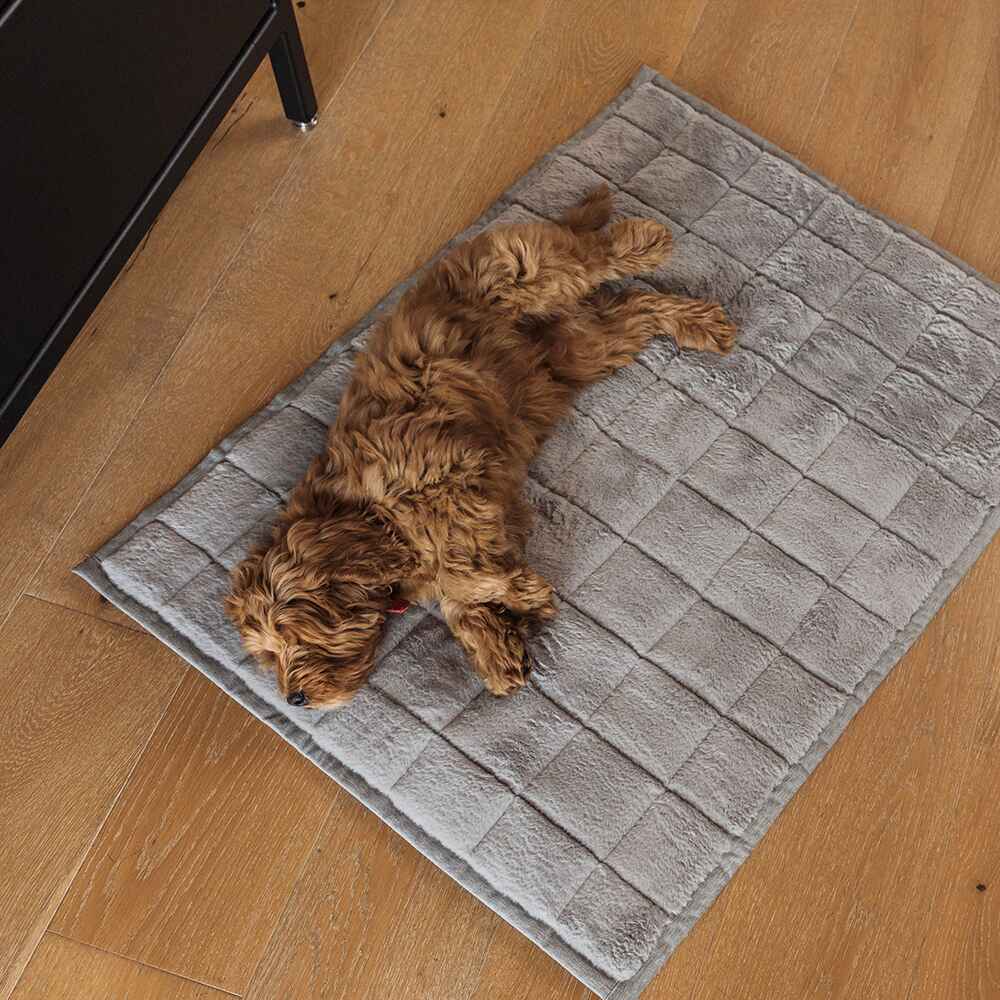 NomadNap - Travel & Portable Dog Bed - Corevias