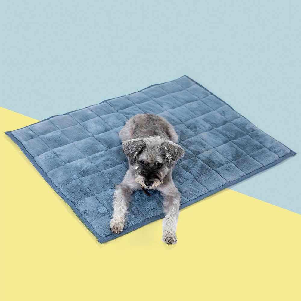 NomadNap - Travel &amp; Portable Dog Bed - Corevias