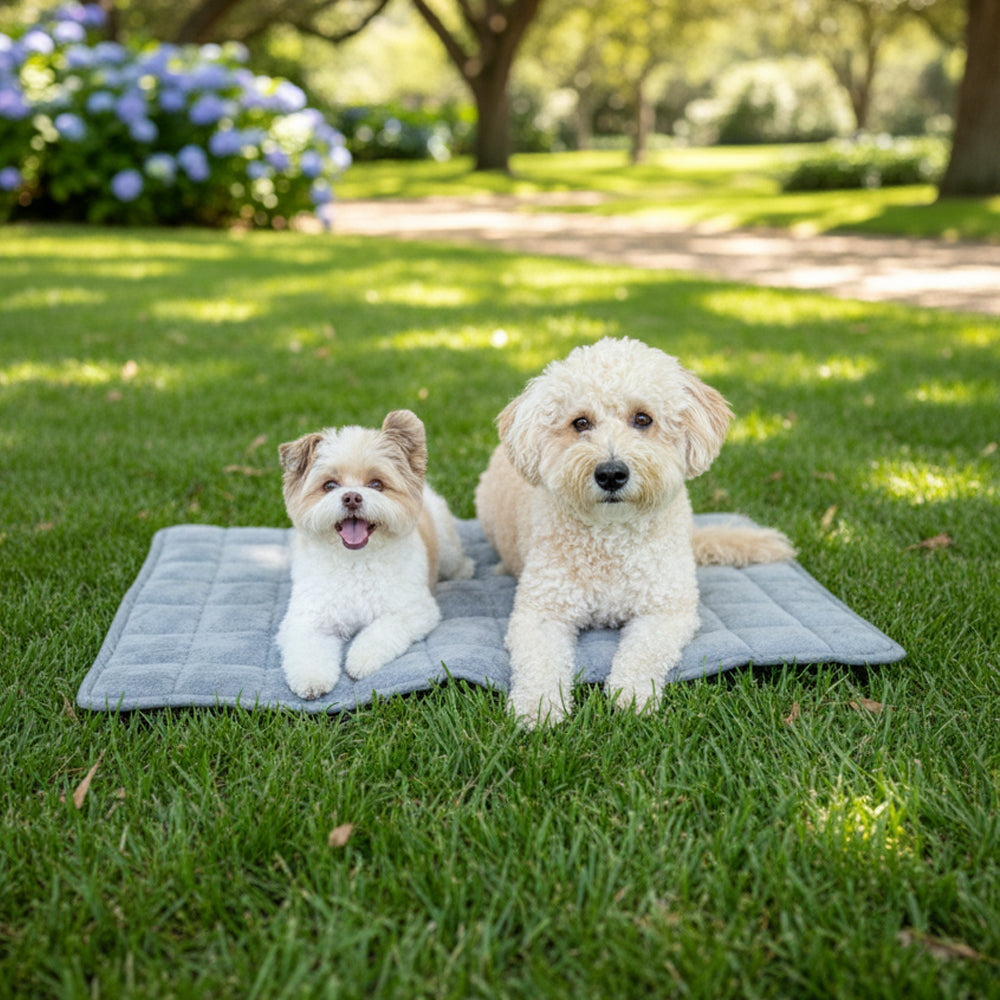 NomadNap - Travel & Portable Dog Bed - Corevias