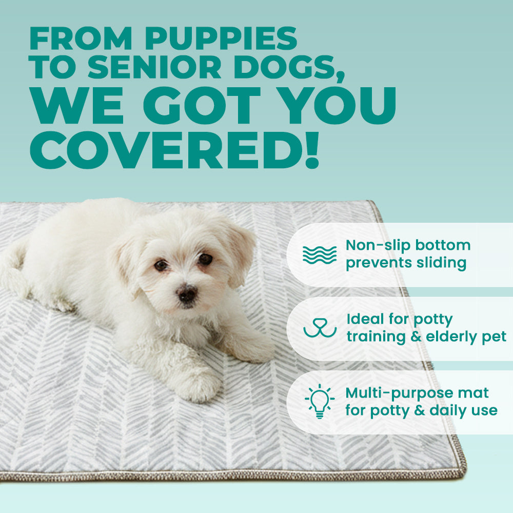 Lovewag Washable Dog Pee Pads - Corevias