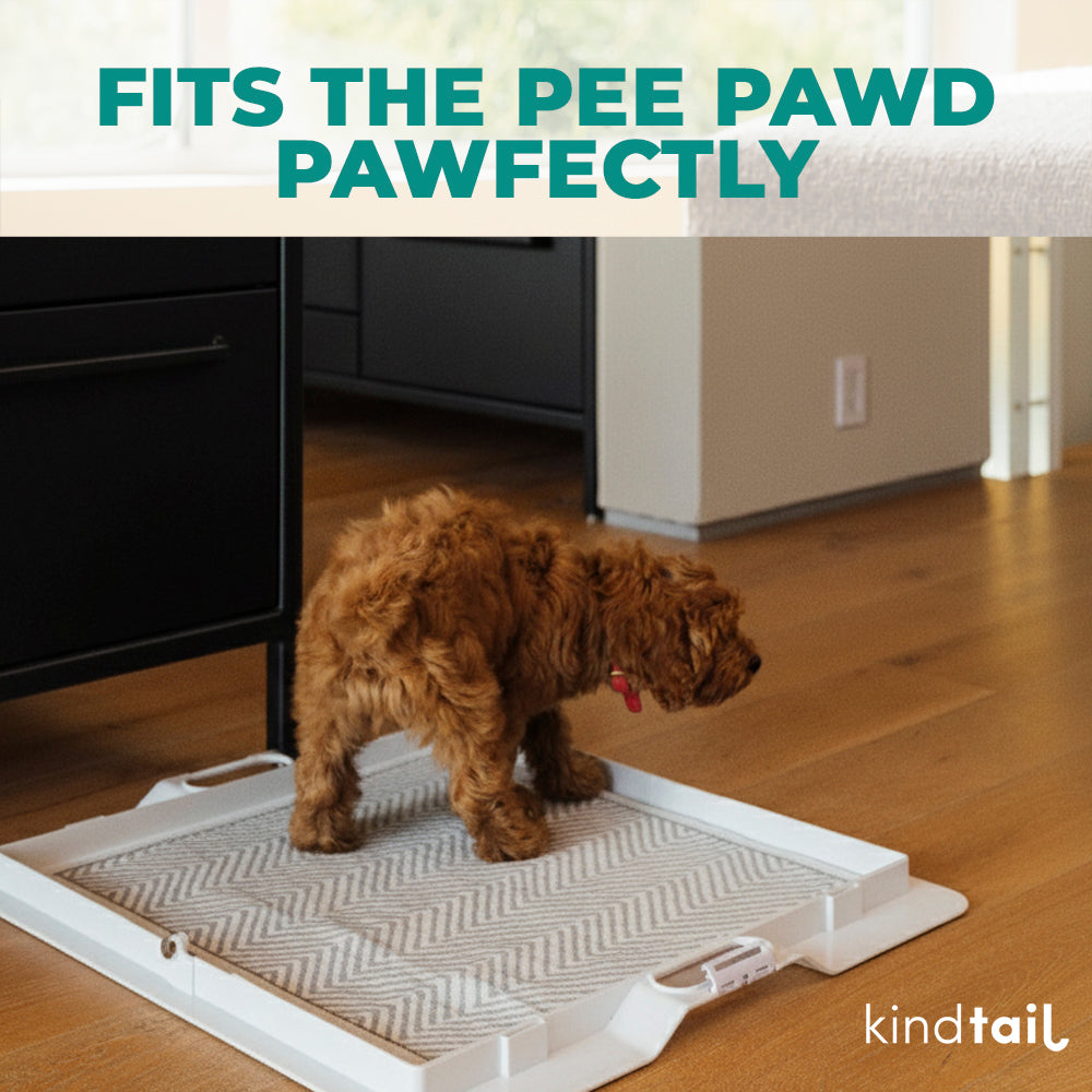 Lovewag Washable Dog Pee Pads - Corevias