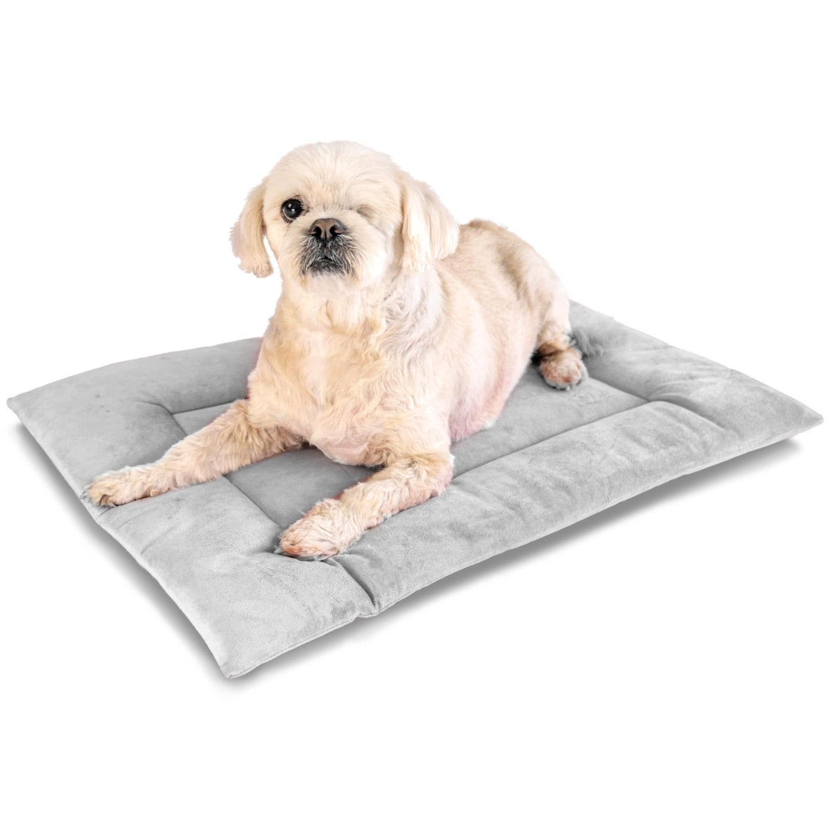 Corevias Crate pad light grey dog bed with white dog 