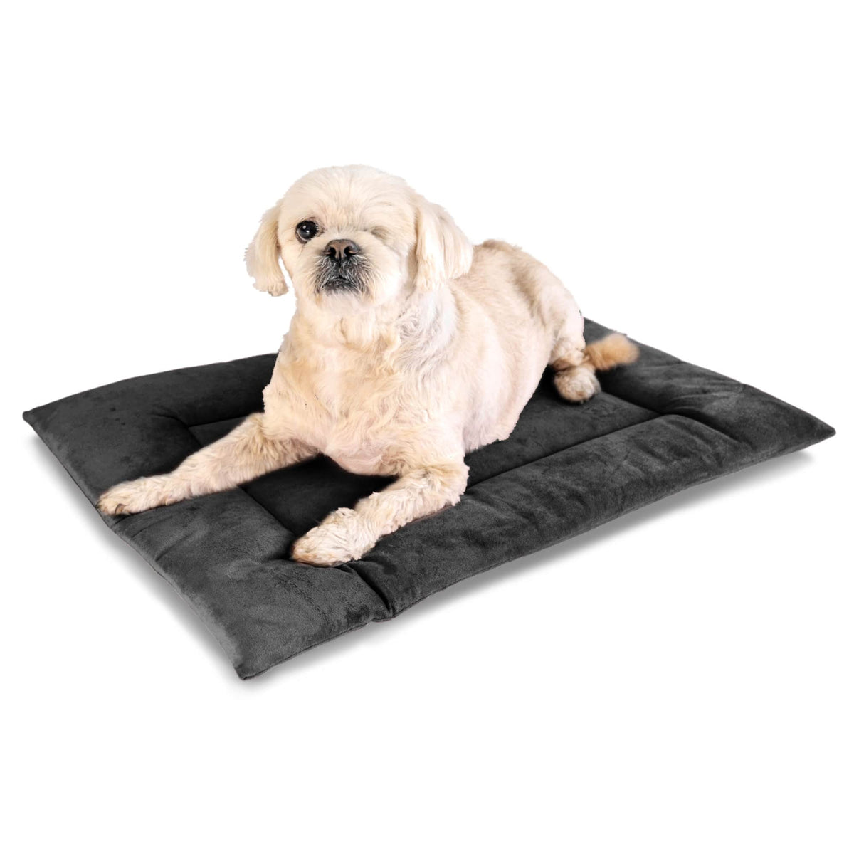 PAWD Crate Pad and Dog mat in dark grey with dog on top, Dog Bed | Corevias