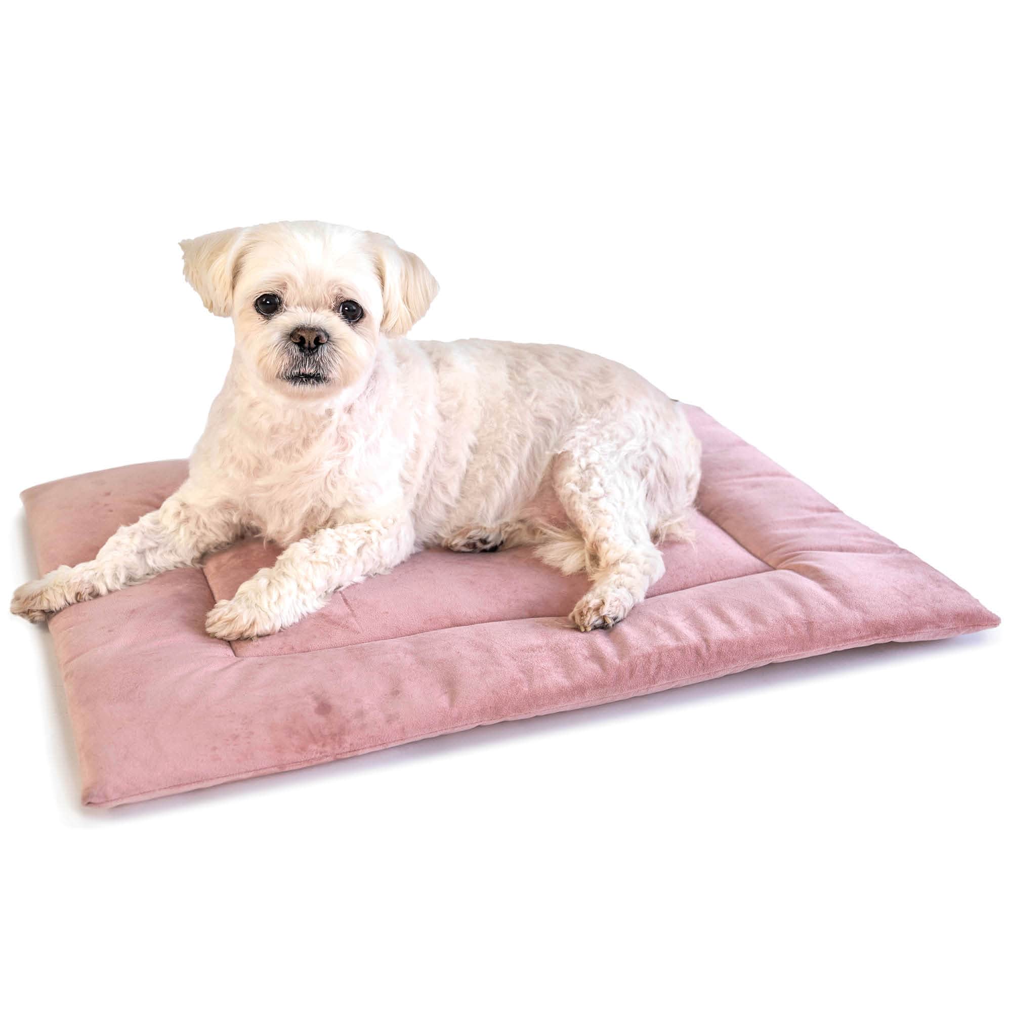 PAWD Crate Pad and Dog mat in pink with dog on top, Dog Bed | Corevias