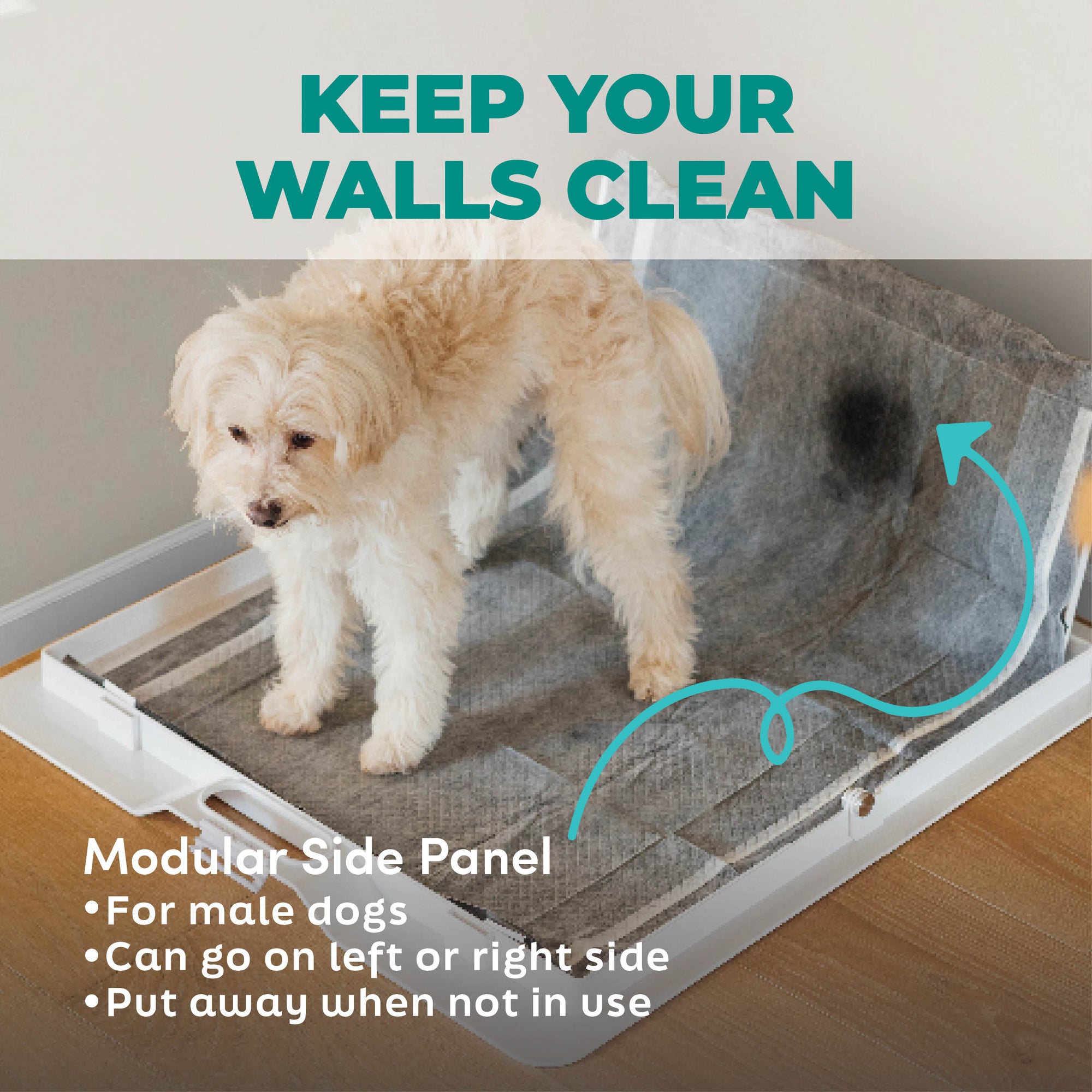 Potty Training Bundle - Corevias