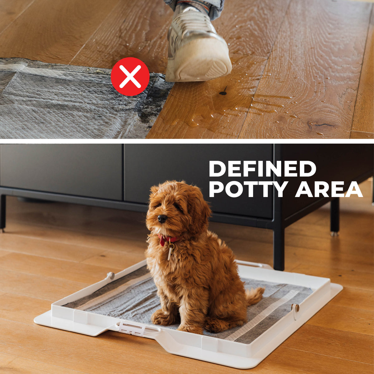 Potty Training Bundle - Corevias