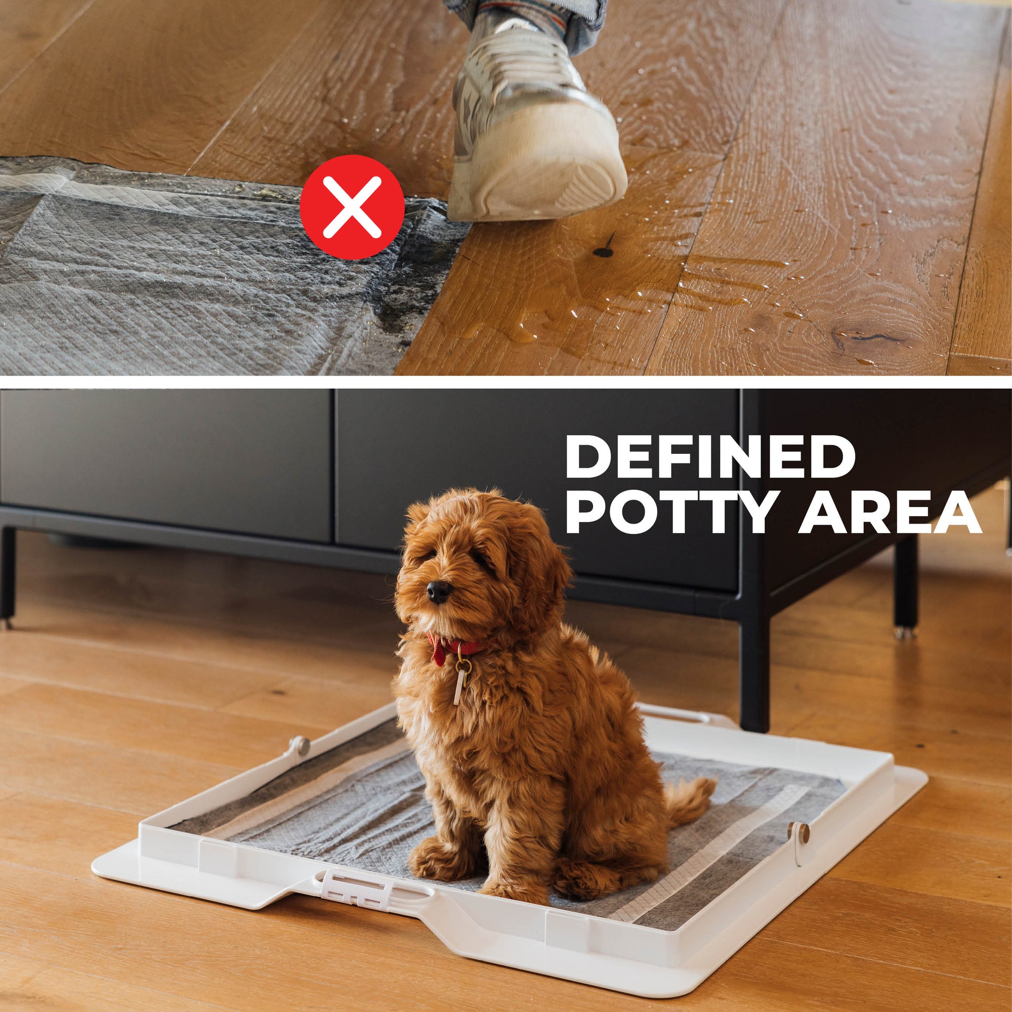 Potty Training Bundle - Corevias