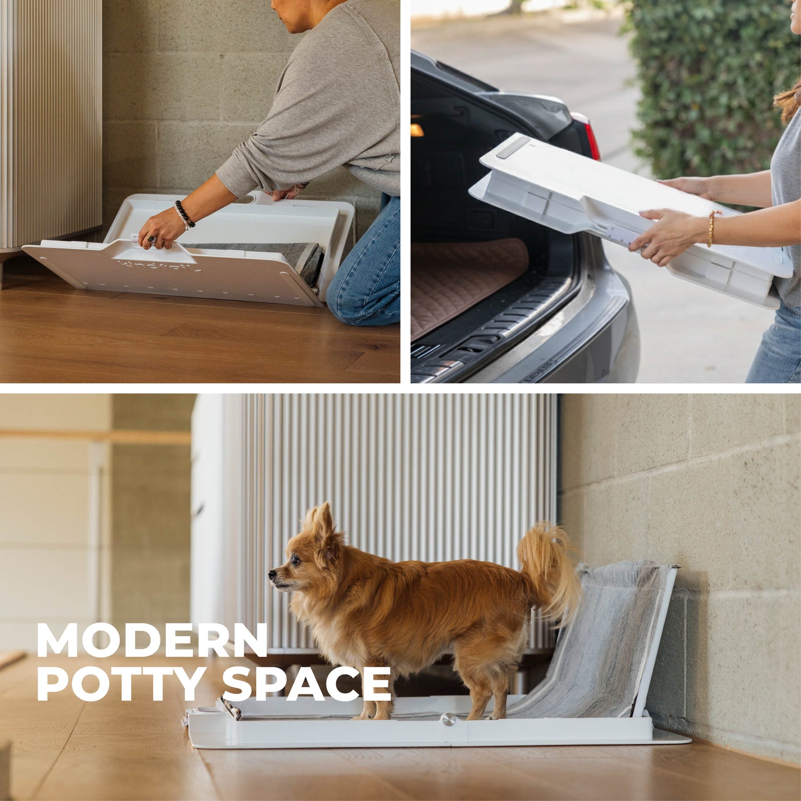 Potty Training Bundle - Corevias