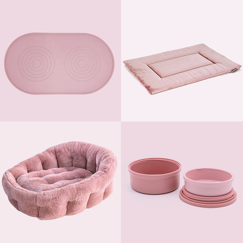 Accessory Bundle - Corevias