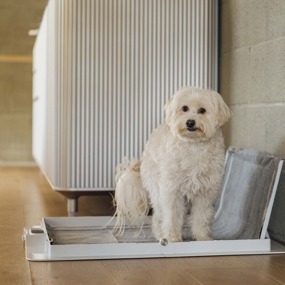 Pee PAWD® Pee Pad holder - Corevias