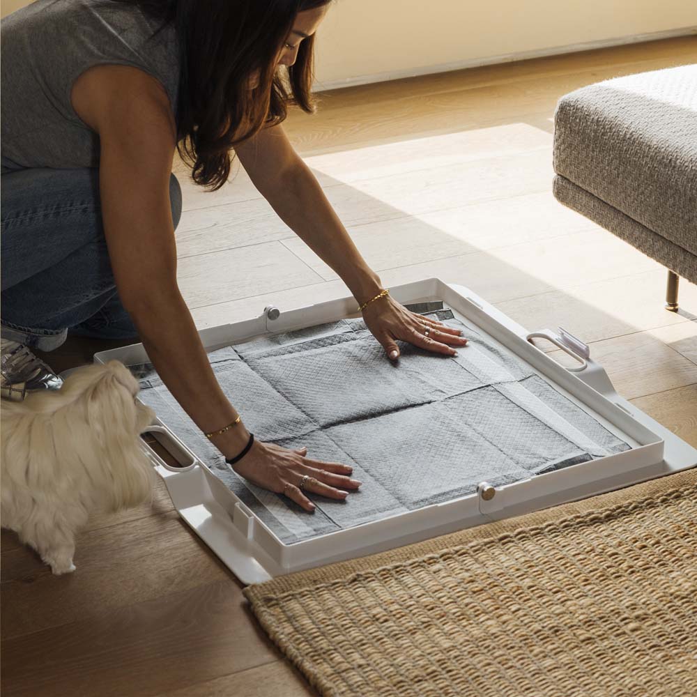 Pee PAWD® Pee Pad holder - Corevias