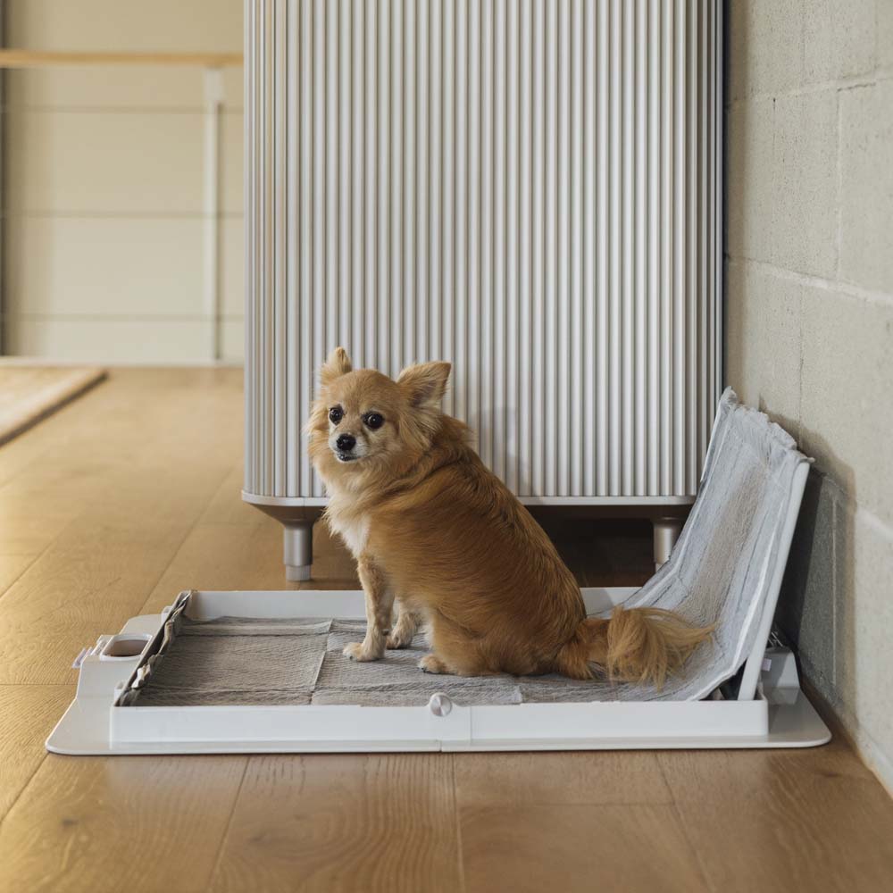 Pee PAWD® Pee Pad holder - Corevias