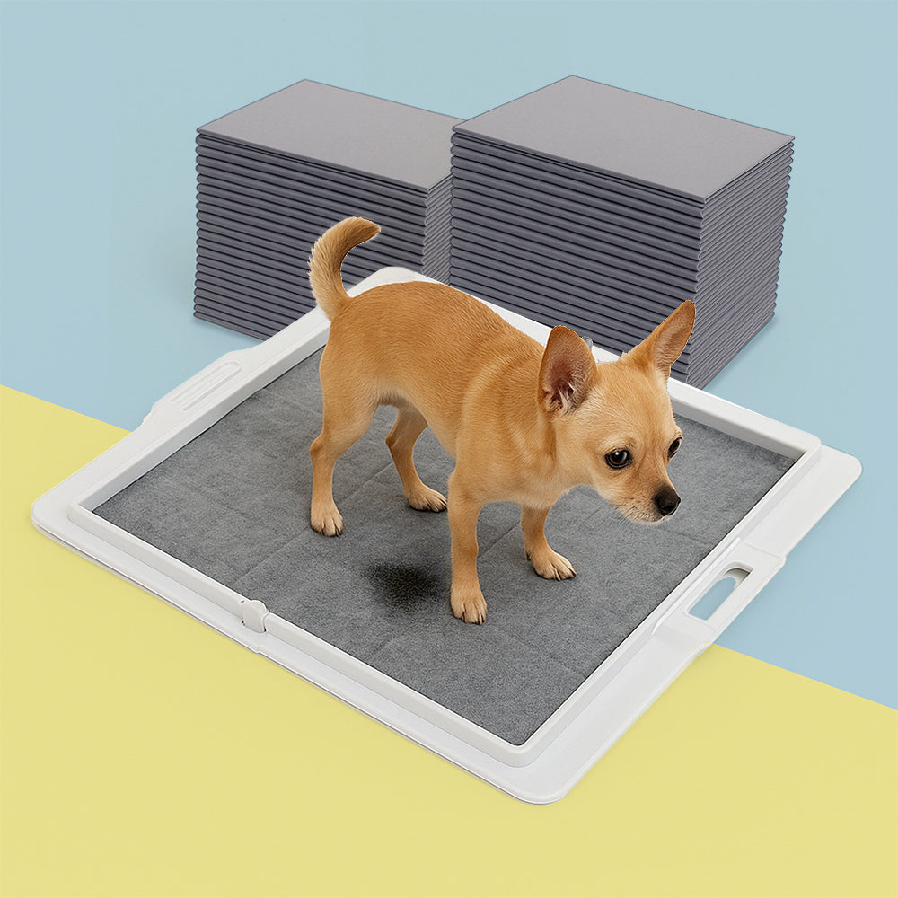 Potty Training Bundle - Corevias