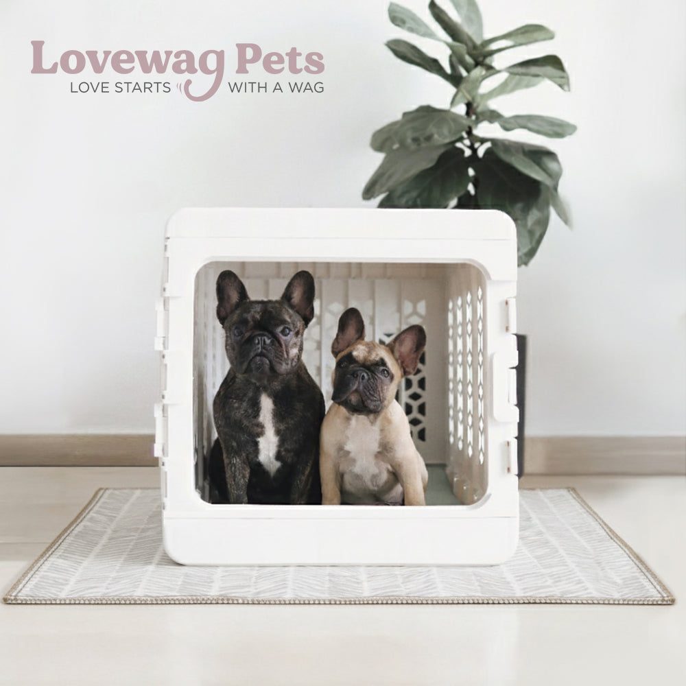 Lovewag Washable Dog Pee Pads - Corevias