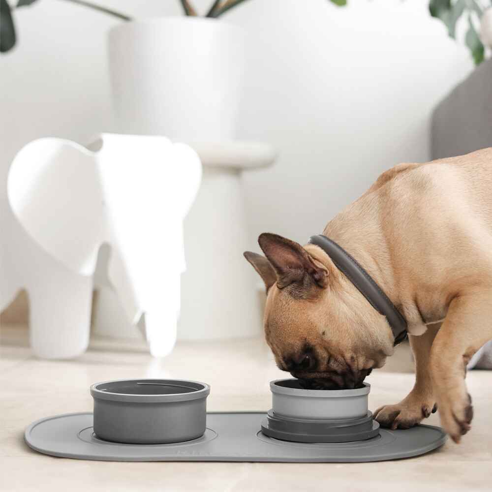Portable & Travel Dog Bowl - Corevias