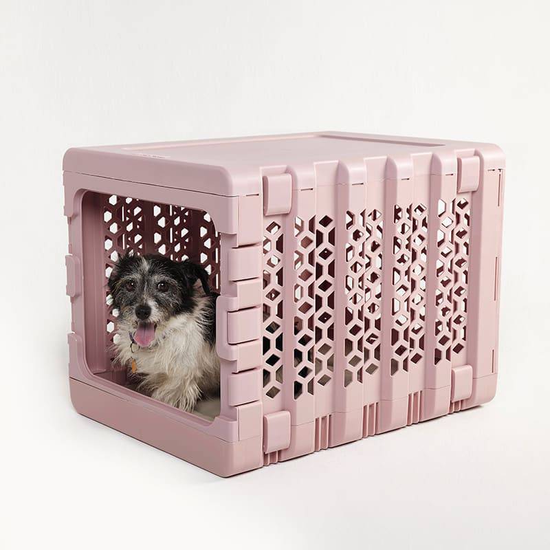 PAWD® | Modern Collapsible Plastic Dog & Pet Crate - Corevias