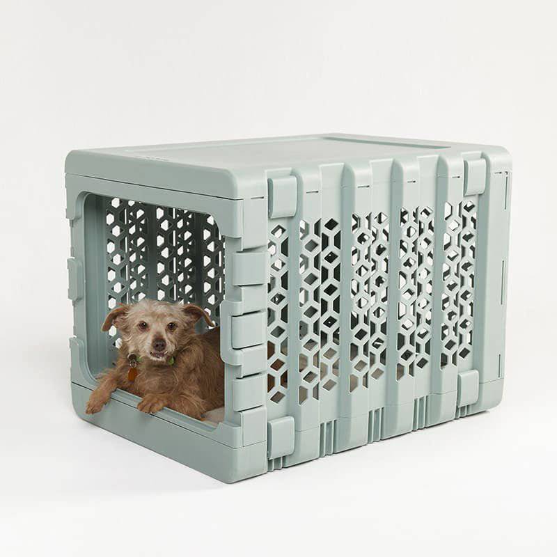 PAWD® | Modern Collapsible Plastic Dog & Pet Crate - Corevias