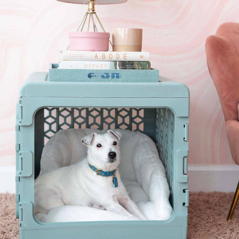 PAWD® | Modern Collapsible Plastic Dog & Pet Crate - Corevias